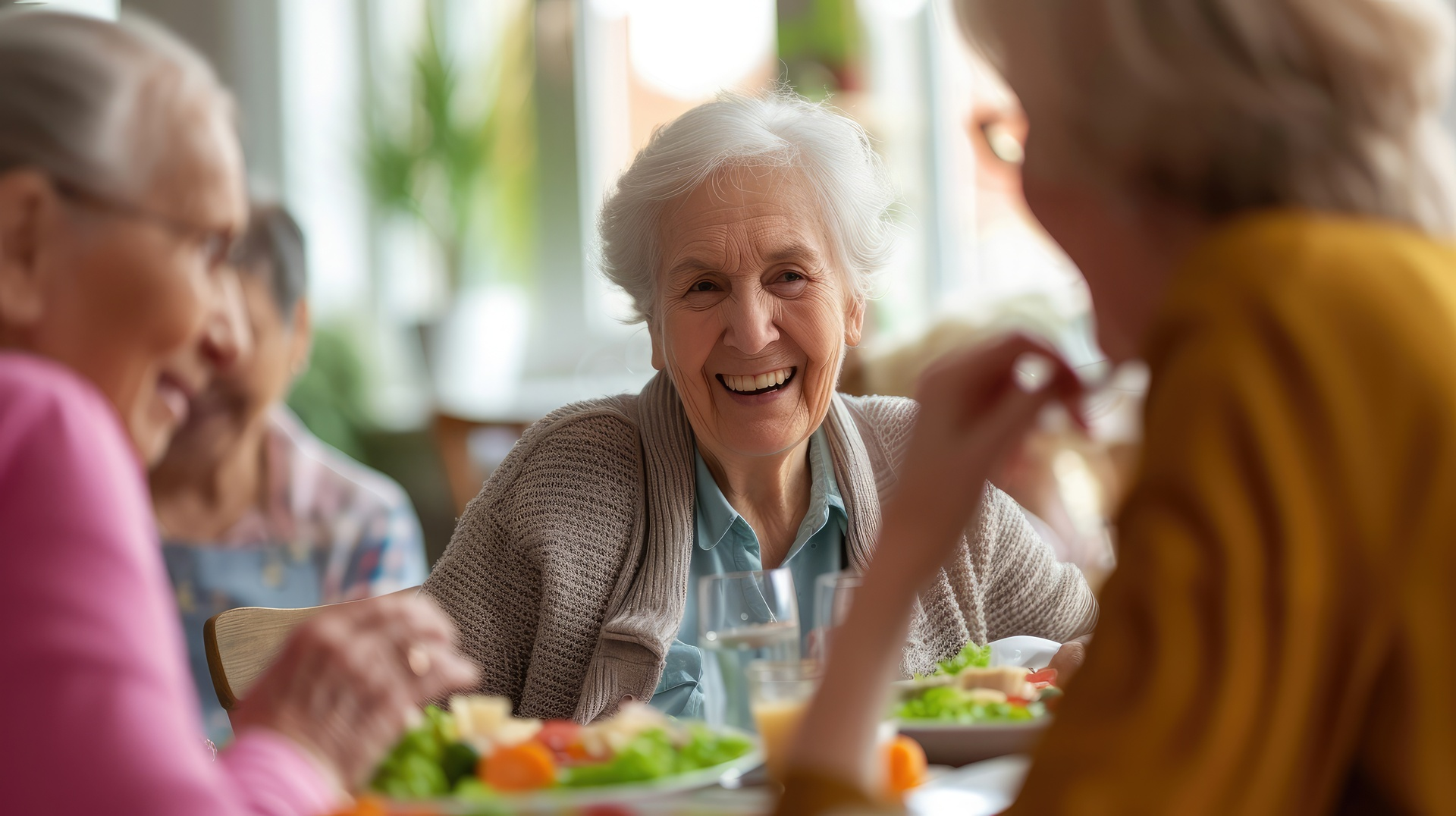 Senior Nutrition Benefits Meals